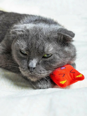 Игрушка для кошек Fancy Pets "Котик" 14,5см
