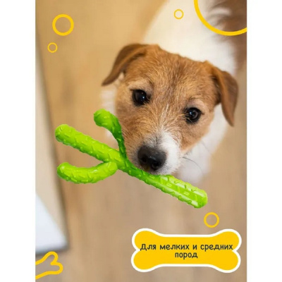 Игрушка для собак Fancy Pets "Кактус" 20см