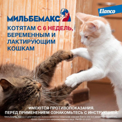 Мильбемакс антигельминтик для кошек 2таб