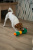 Игрушка для собак Fancy Pets"Утка" 31см Игрушка для собак Fancy Pets"Утка" 31см