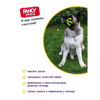 Игрушка для собак Fancy Pets "Кактус" 20см