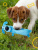 Игрушка для собак Fancy Pets "Собака Хрустик" 29см Игрушка для собак Fancy Pets "Собака Хрустик" 29см